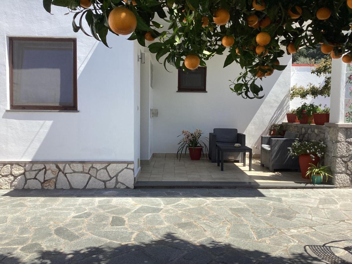B&B Casetta Minghitto Anacapri  Exterior foto