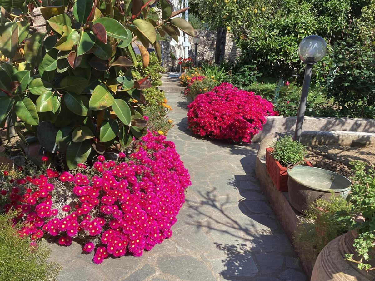B&B Casetta Minghitto Anacapri  Exterior foto